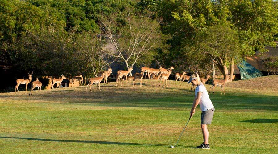 Kruger Park Lodge Hazyview Luaran gambar